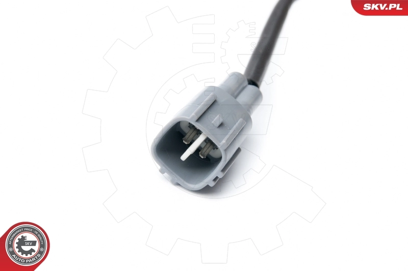 Oxygen Sensor